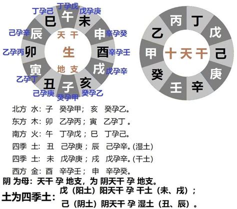 癸己|癸巳